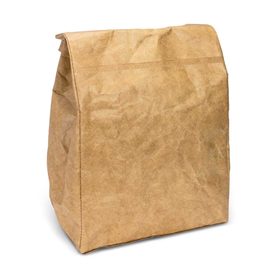 Tyvek Lunch Cooler Bags